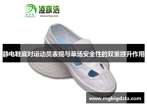 静电鞋底对运动员表现与草场安全性的双重提升作用